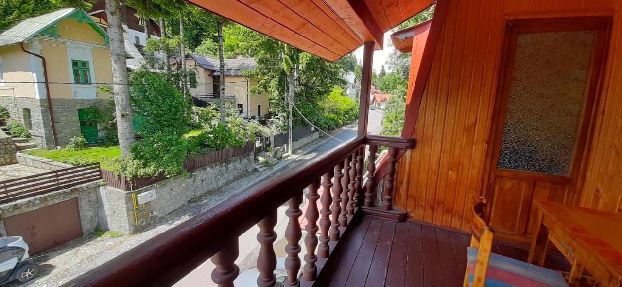 Vila Felix Sinaia Exterior photo
