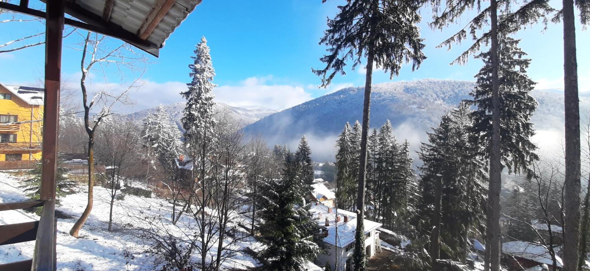 Vila Felix Sinaia Exterior photo